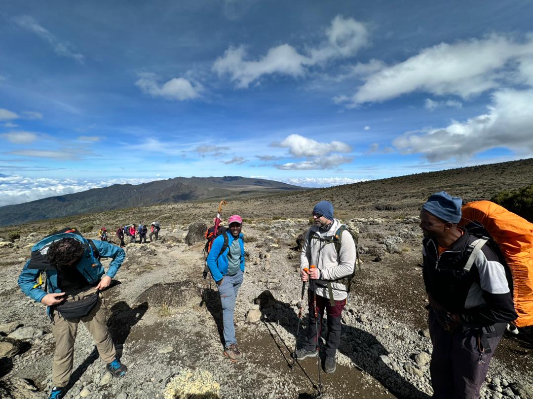 lemosho-route-kilimanjaro