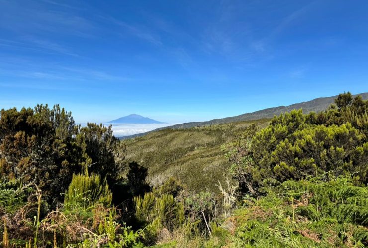 views-of-kilimanjaro