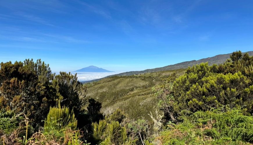 views-of-kilimanjaro